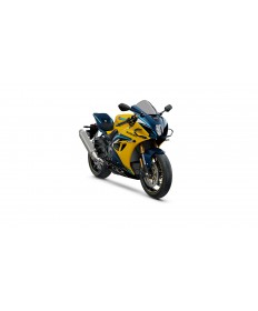 SUZUKI GSX-R1000R