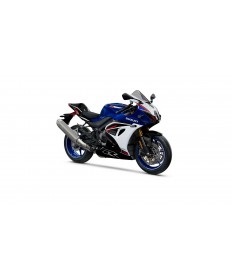 SUZUKI GSX-R1000R