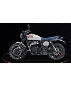 ROYAL ENFIELD MOTO Inte rcep tor Bear 650