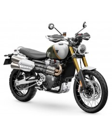 2026 TRIUMPH  NOUVELLE...