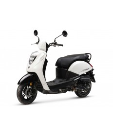 NEU SYM MIO 50 E5+