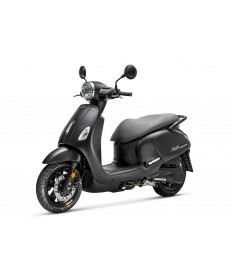 NEU SYM FIDDLE IV 50 E5+